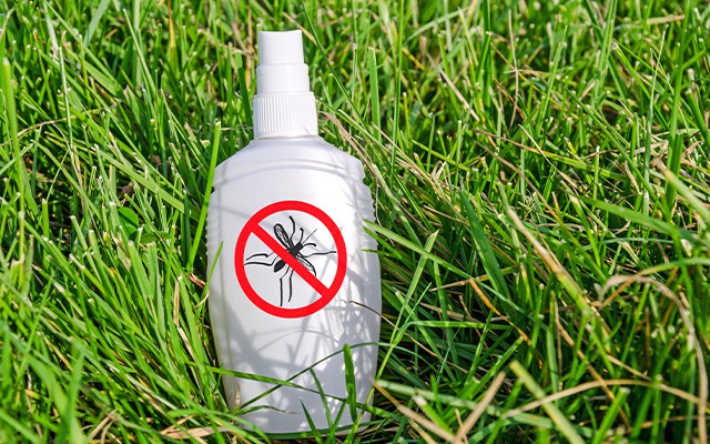 Anti-Mückenspray liegt auf einer Wiese