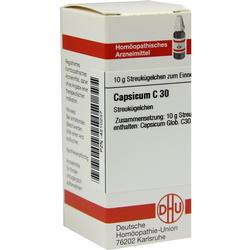 CAPSICUM C30